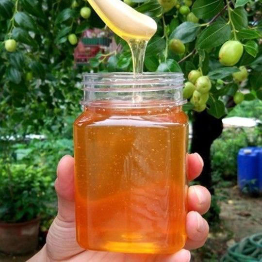 蜂蜜纯正天然野生土蜂蜜农家自产百花蜜深山野蜂蜜 槐花蜜