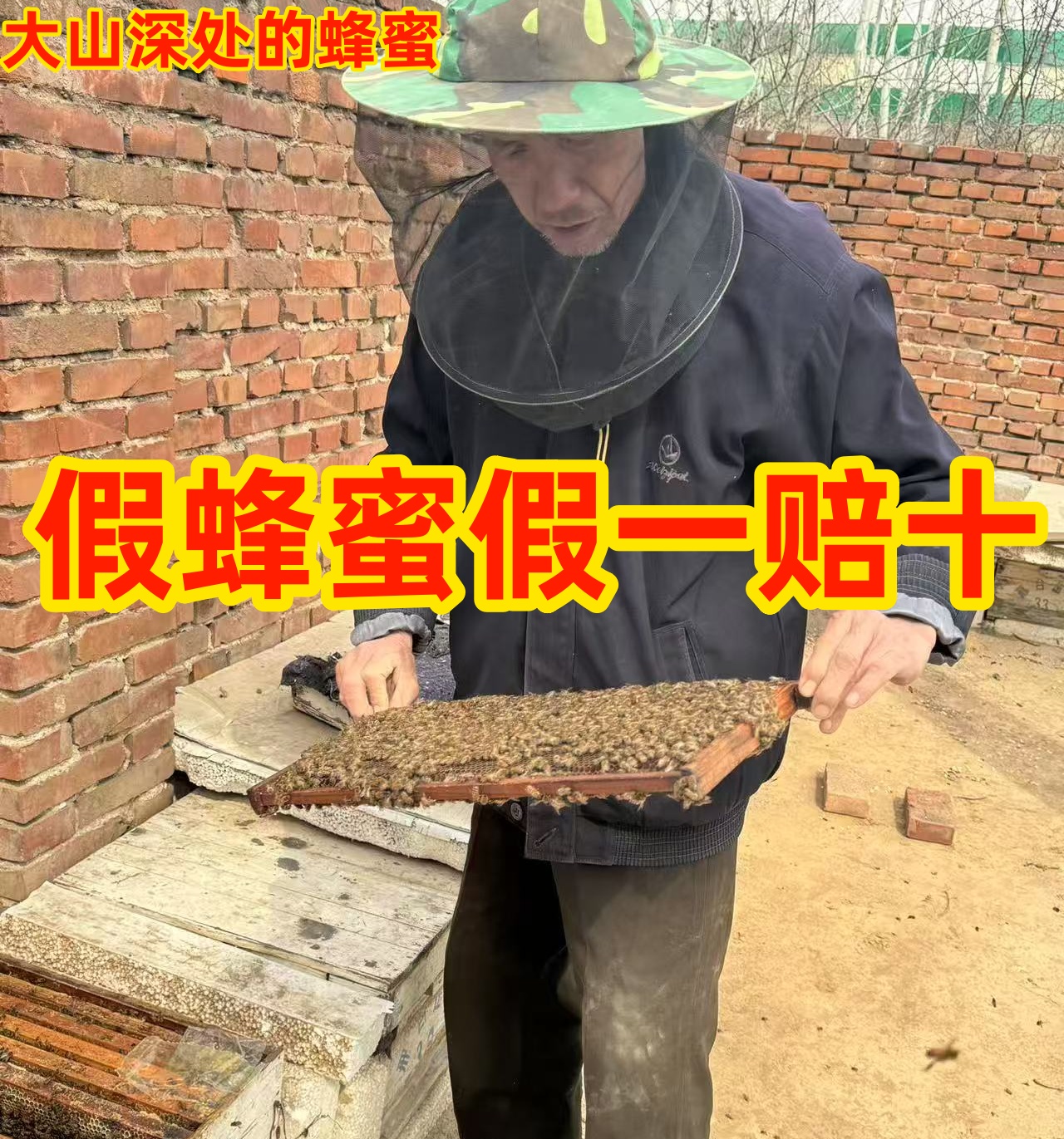 纯正天然野生蜂蜜正宗土蜂蜜深山百花蜜成熟蜜野生蜜