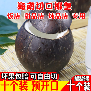 海南新鲜预开口椰皇10个装甜品椰子碗切口老椰子冻抛光开盖炖盅汤