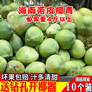 10个装海南椰子新鲜带皮椰青孕妇水果椰汁椰子蛋青椰奶冻文昌嫩椰