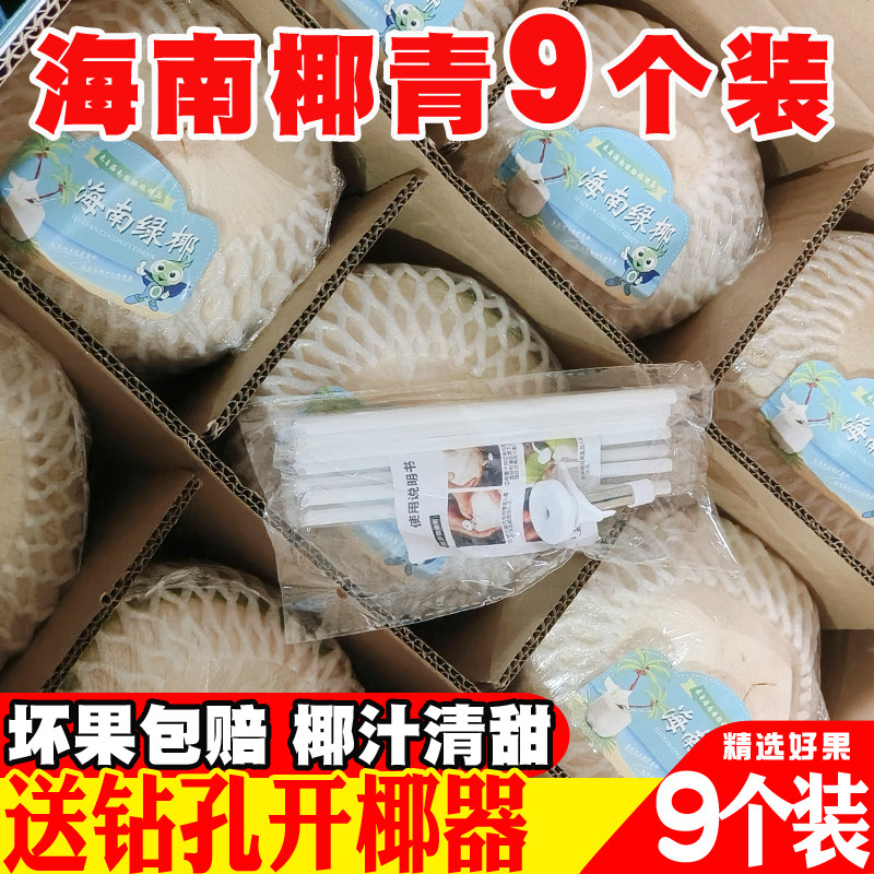 海南椰青新鲜椰子现摘现发整箱去皮削皮青椰蛋孕妇水果9个装特产