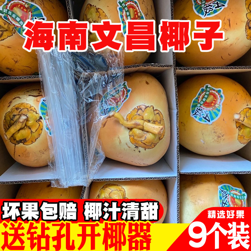 海南新鲜黄金椰子9个装带皮椰青红椰孕妇补羊水金椰当季热带水果