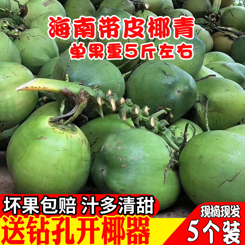5个装海南椰子新鲜带皮椰青整箱