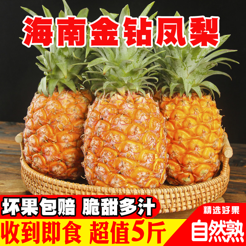 5斤海南金钻凤梨正宗特产水果手撕香水凤梨树上熟台农17号非菠萝
