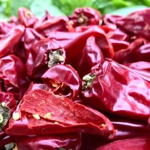 新疆板椒红干大辣椒不辣 上色特香红油专用干辣椒铁皮