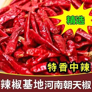 干辣椒段特辣无籽辣椒段香辣魔鬼辣朝天椒辣椒面不辣的干辣椒批发