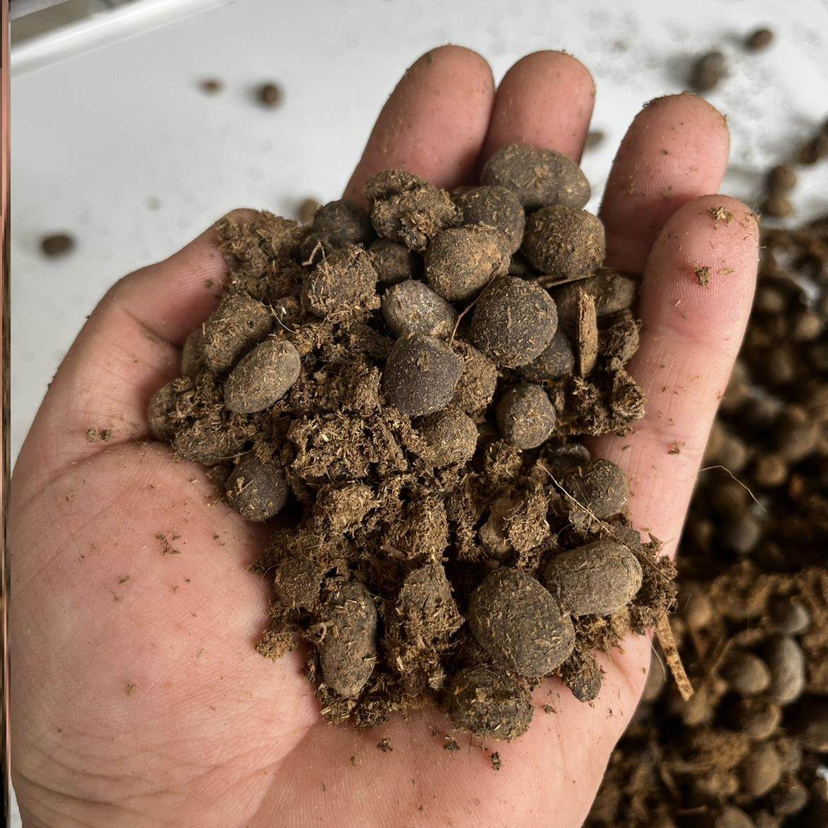 羊粪蛋颗粒10斤-50斤肥发酵无臭有机生物肥瓜果花卉专用腐熟粪粒