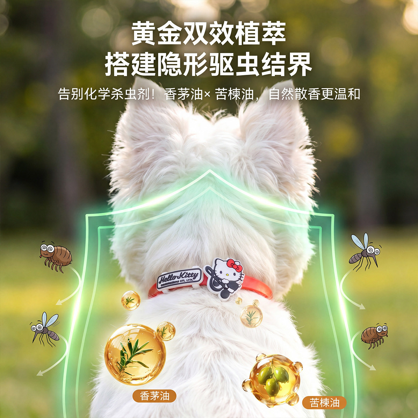 宠物精油项圈猫咪体外脖