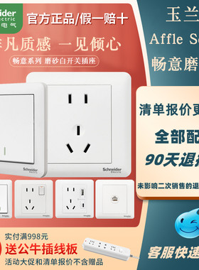 施耐德畅意磨砂白USBA+C开关插座