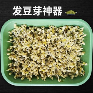 豆芽发芽盆豆芽罐家用生豆芽机无公害发豆芽桶黄豆绿豆发芽盆神器