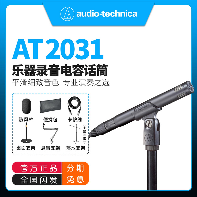 铁三角 AT2031小振膜电容麦钢琴提琴吉他弹唱人声乐器话筒麦克风