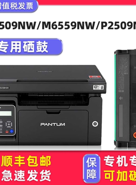 【顺丰包邮】多好原装M6509NW墨盒适用奔图PANTUM M6559NW打印机硒鼓M6609 P2509NW碳粉盒可加墨PD-219