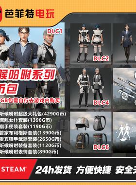 STEAMPUBG绝地求生听候吩咐服饰配件GB包CDK（下单发GB自行购买）
