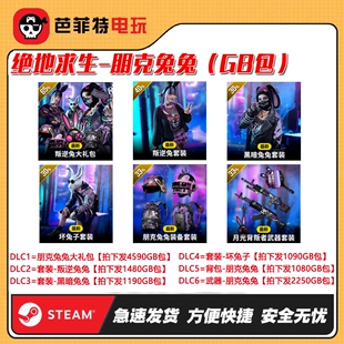 绝地求生PUBG朋克叛逆兔大礼包CDK兑换码【GB包】