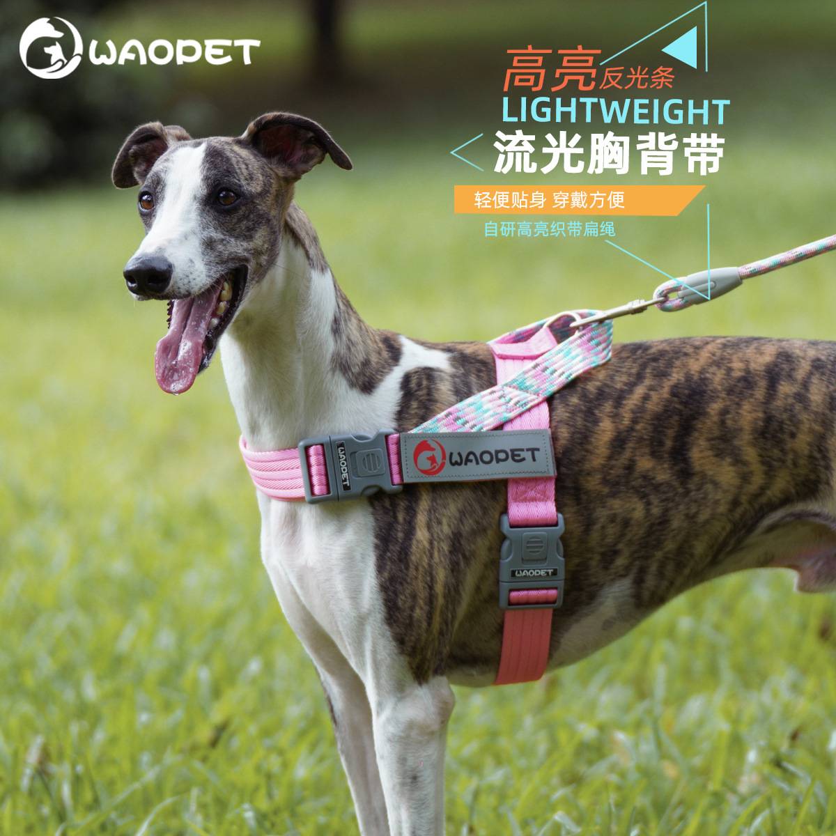 WAOPET新款狗绳狗狗牵引绳项圈項圈宠物用品外出透气大狗狗胸背带