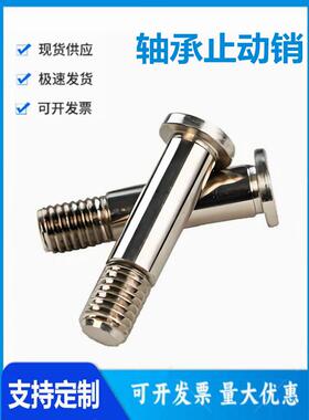 BGP/BGPM8 12-11/15/16/18-L20/L25/L30/L40/L50/L60 轴承止动销