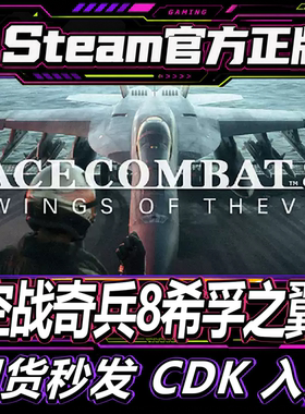 Steam正版CDK空战奇兵8激活码
