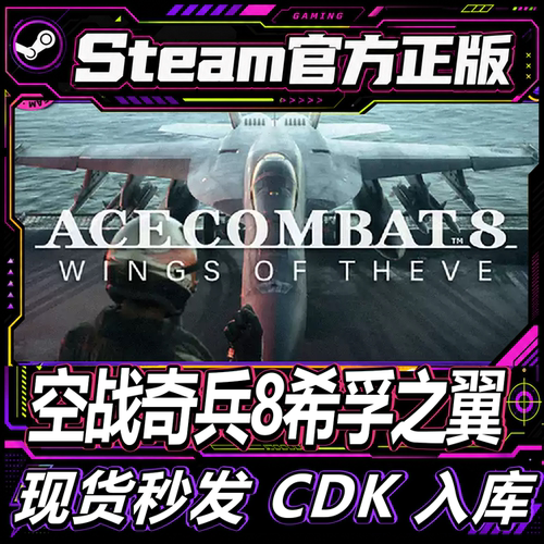 Steam正版CDK空战奇兵8激活码