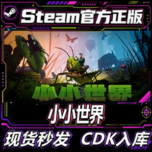 Steam正版CDK 小小世界: 原野求生 Smalland: Survive the 激活码