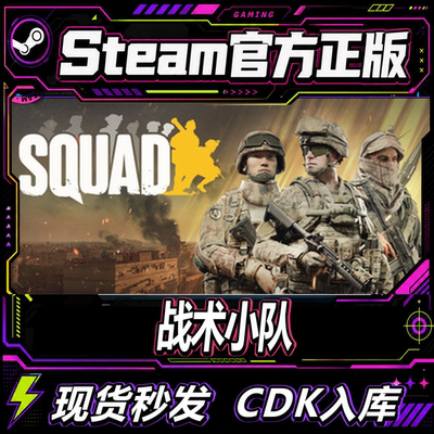 Steam正版CDK战术小队激活码