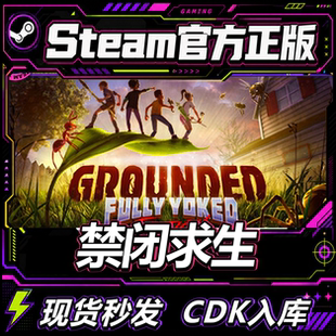 steam正版 禁闭求生1 grounded steam个人独享成品账号 可改一切