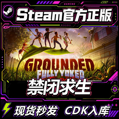 Steam正版禁闭求生成品账号