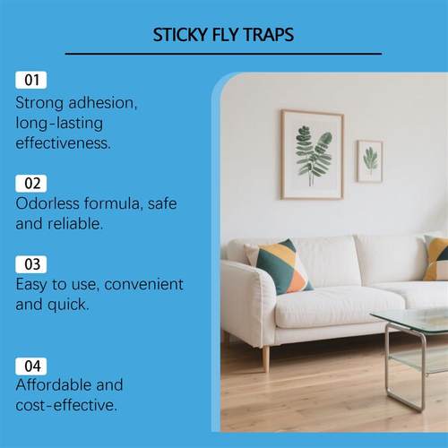 Sticky fly traps, daily homeless anti-fine sterilizers, flyi