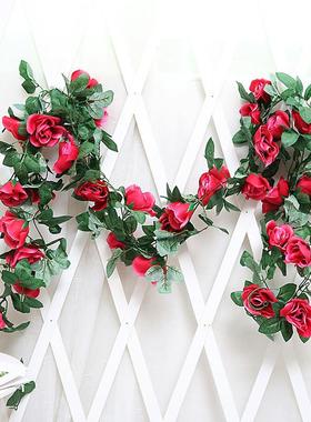 Sixteen rose vines tangled up in the air-conditioned water p