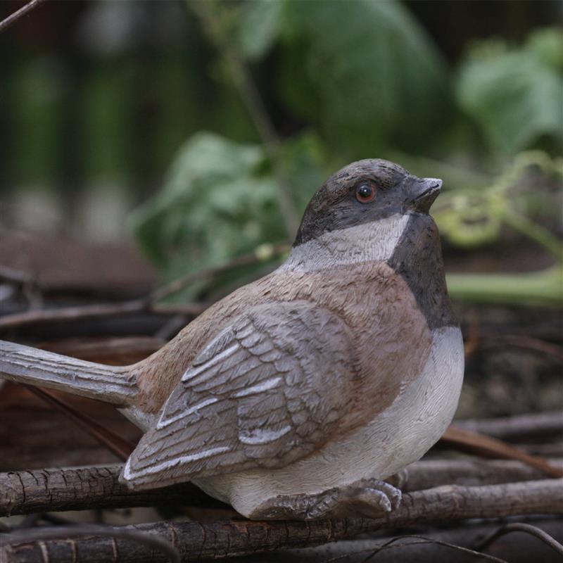 The creative garden courtyard is decorated like a real bird
