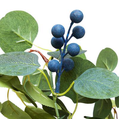 Its like a juggling lemon fruit for a real vine, and its a