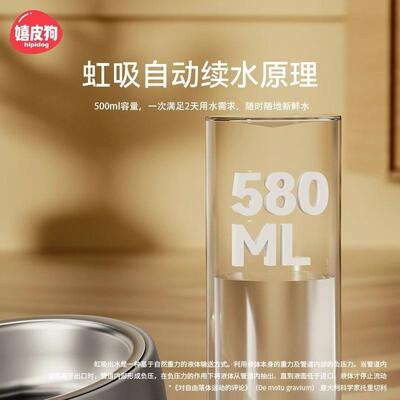 Pets, small fish, cat bowls, stainless steel, double bowls o