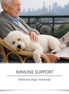 Puppies are used for fungus particles, warm care dog intesti