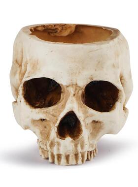 Its a blubber pelvis for Halloween with a brainless skull a