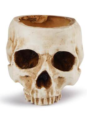 Its a blubber pelvis for Halloween with a brainless skull a