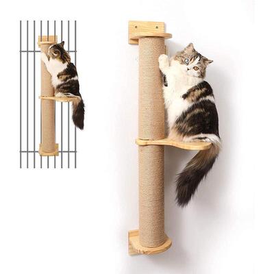 Cats crawling on a liner, punctured cat crawling on a wall w