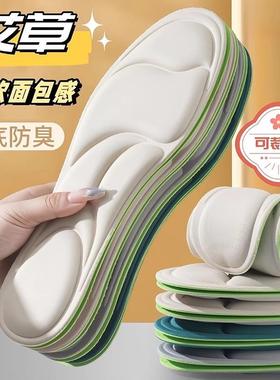 Lady's Special Insoles for Military Training - Super Soft Bo