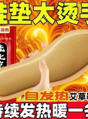 Old Beijing Self-Heating Insoles, Winter Moxa Warm Pads, Foo