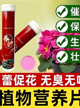 General-purpose Slow-release Plant Nutrient Tablets, Fertili