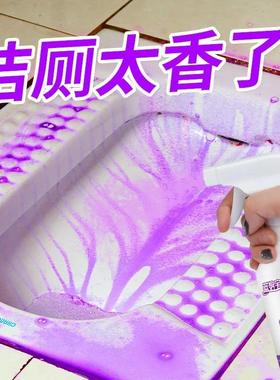 Floral Scented Toilet Cleaner - Powerful Deodorizing and Uri