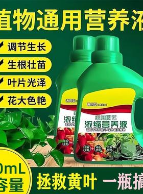 General-purpose Plant Nutrient Solution for Home Use - Suita