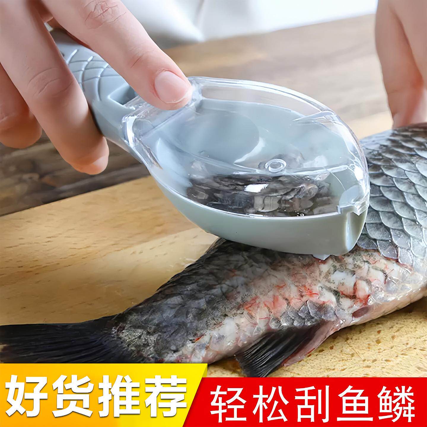 Manual Fish Scaler Tool with Lid for Removing Fish Scales, H