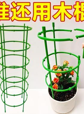 Floral Display Indoor Home Stand Universal Crab Claw Orchid