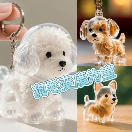 Clear Dog Hair Storage Box Charm Capsule Cat Hair Keepsake C