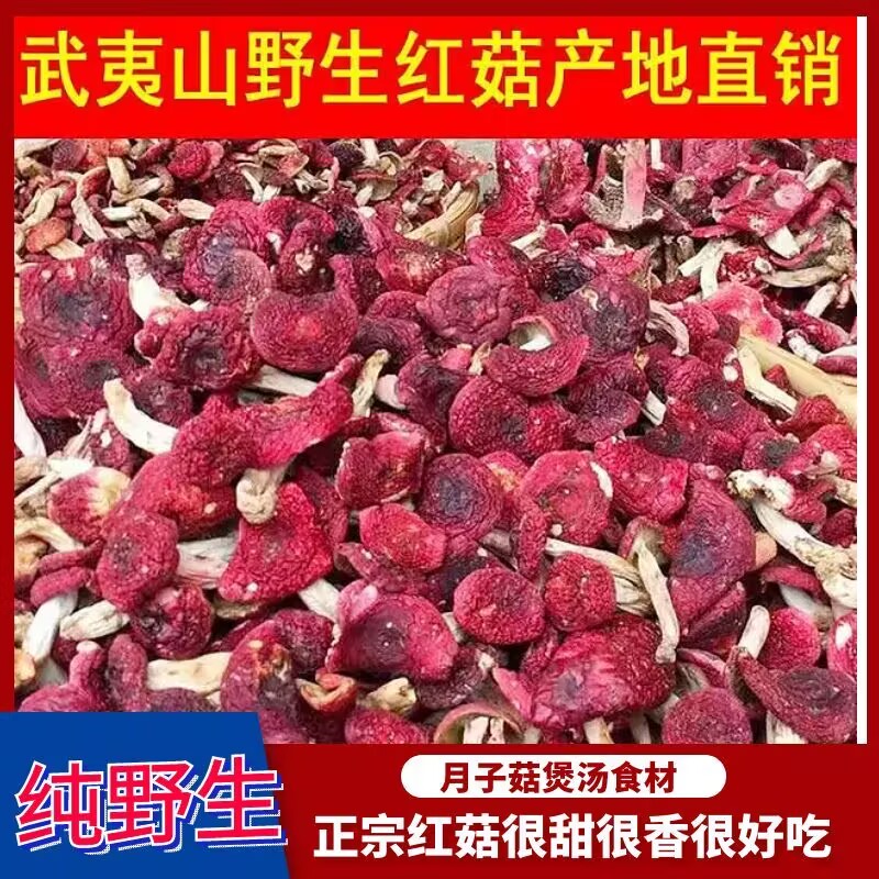 新货纯野生红菇干货煲汤红菌菇福建特产云南红菇月子菇红椎菇