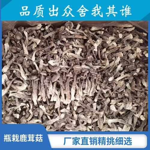 新货鹿茸菇干货500克包邮鹿耳菇菌菇新鲜酒店饭店专用