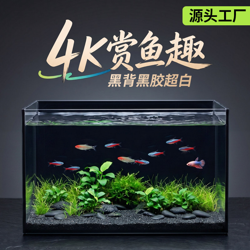 初迪黑背鱼发色超白鱼缸2026新款小型桌面客厅家用生态玻璃金鱼缸