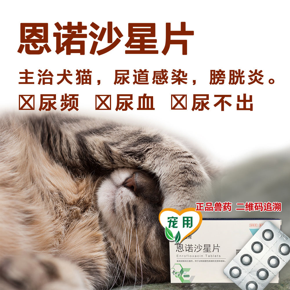 猫尿路感染价格 猫尿路感染图片 星期三