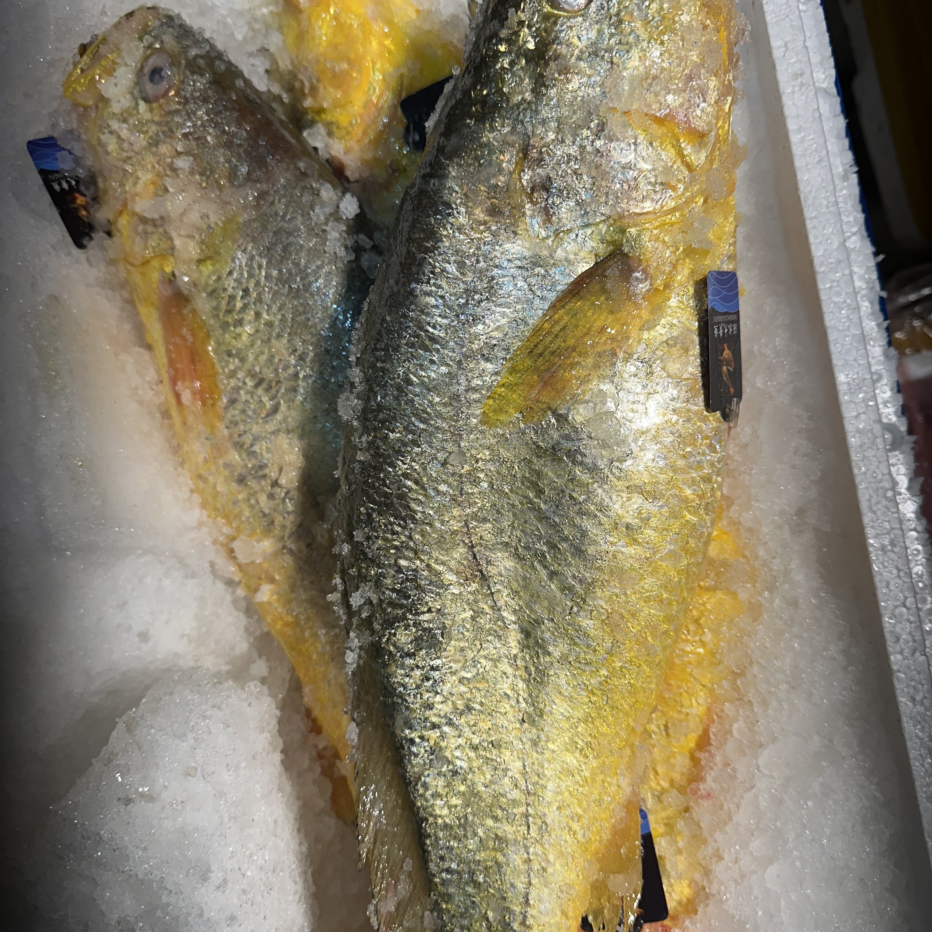 黄花鱼 4 斤 8—10 条一斤 大号黄鱼,水产肉类/新鲜蔬果/熟食,鲽鱼,淘宝优惠券,粉丝福利购,淘宝优惠卷