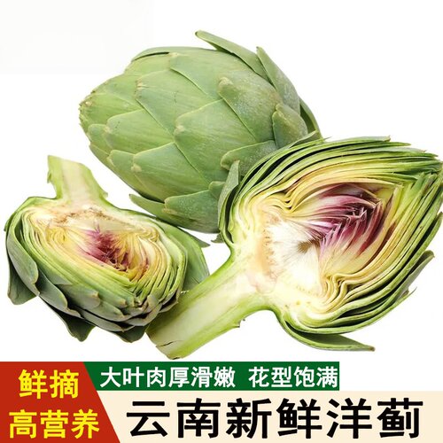 新鲜云南洋蓟当季产地现摘蔬菜法国百合西餐厅网红朝鲜蓟整箱包邮