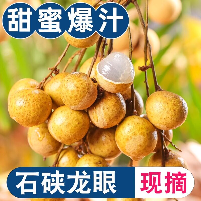 广东高州石硖龙眼储良龙眼新鲜现摘当季水果海南鲜龙眼孕妇水果